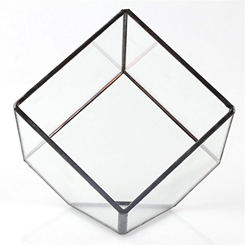 NCYP 3.93 inches Geometric Decorative Terrarium Cube Inclined Clea...