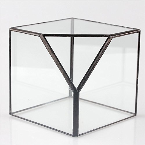 NCYP 3.93 inches Geometric Decorative Terrarium Cube Inclined Clea...