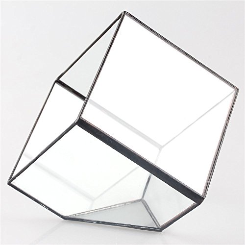 NCYP 3.93 inches Geometric Decorative Terrarium Cube Inclined Clea...