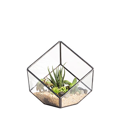 NCYP 3.93 inches Geometric Decorative Terrarium Cube Inclined Clea...