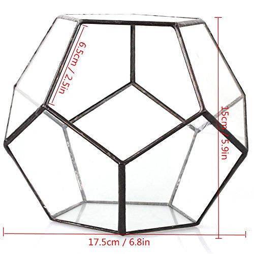NCYP Black Glass Geometric Terrarium Container Modern Tabletop Win...
