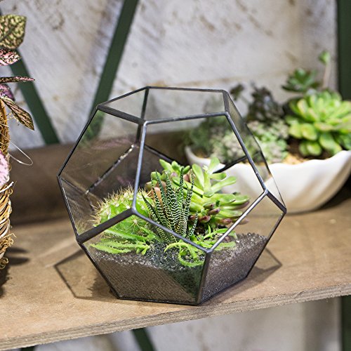 NCYP Black Glass Geometric Terrarium Container Modern Tabletop Win...