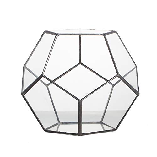 NCYP Black Glass Geometric Terrarium Container Modern Tabletop Win...