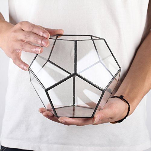 NCYP Black Glass Geometric Terrarium Container Modern Tabletop Win...