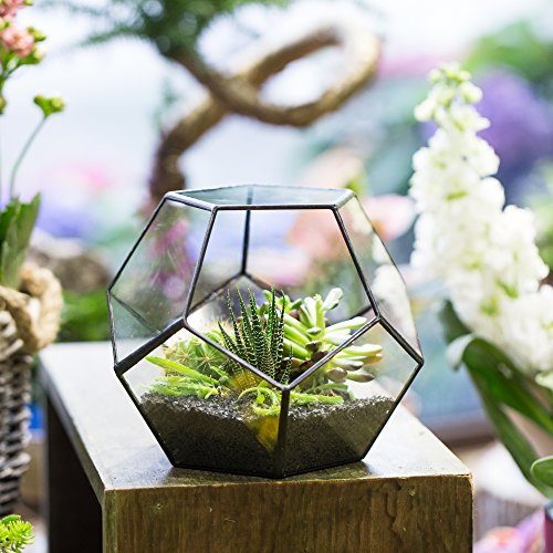 NCYP Black Glass Geometric Terrarium Container Modern Tabletop Win...