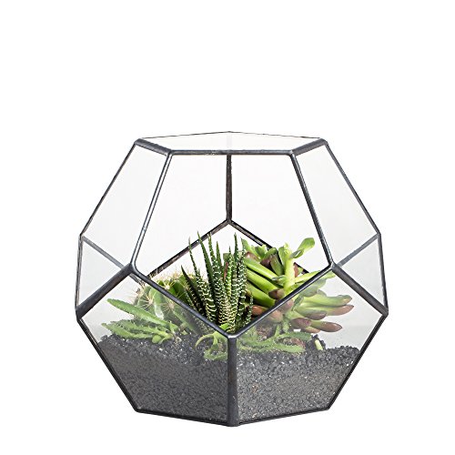 NCYP Black Glass Geometric Terrarium Container Modern Tabletop Win...
