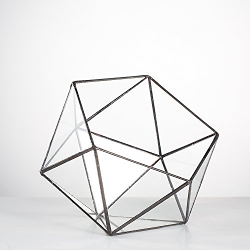 NCYP Geometric Glass Terrarium Half Ball Pentagon Planter Indoor B...