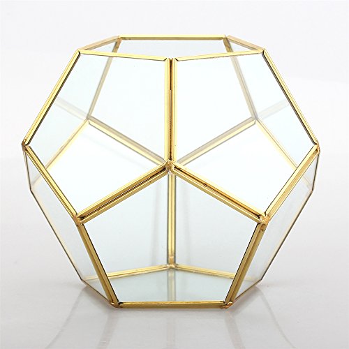 NCYP Gold Glass Geometric Terrarium, Home Tabletop Decor, Pentagon...