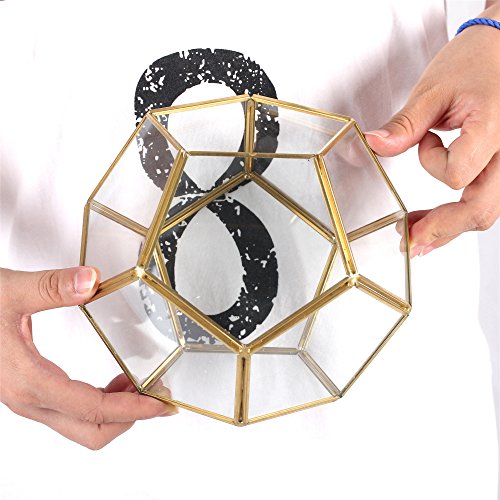 NCYP Gold Glass Geometric Terrarium, Home Tabletop Decor, Pentagon...