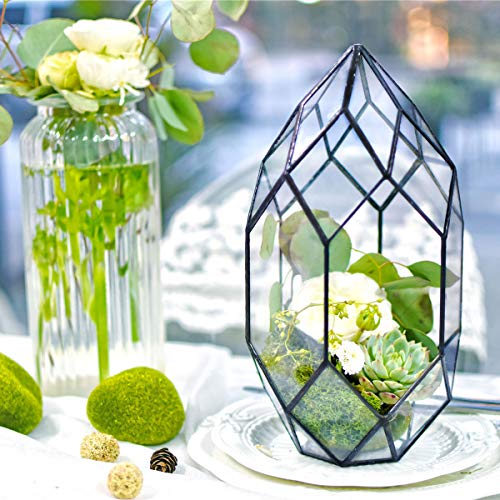 NCYP Large Geometric Glass Terrarium Handmade Irregular Planter In...