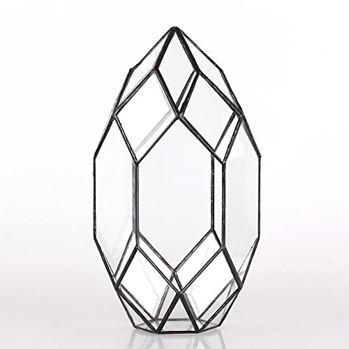 NCYP Large Geometric Glass Terrarium Handmade Irregular Planter In...
