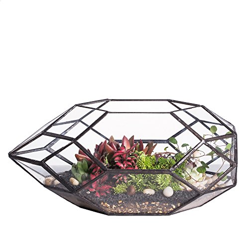 NCYP Large Geometric Glass Terrarium Handmade Irregular Planter In...