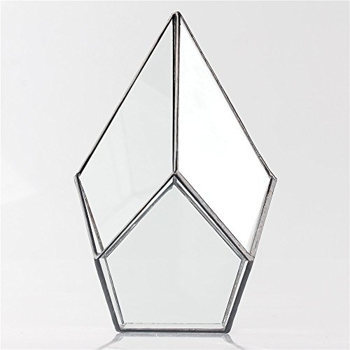 NCYP Modern Artistic Clear Glass Geometric Terrarium Four-surfaces...