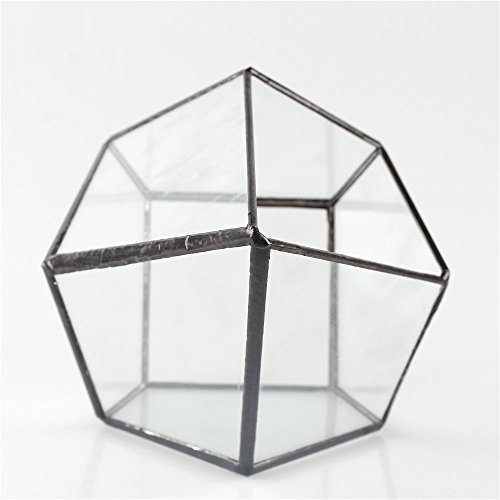 NCYP Modern Artistic Clear Glass Geometric Terrarium Four-surfaces...