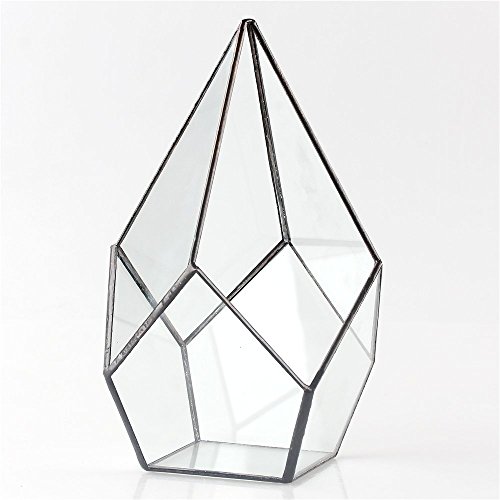 NCYP Modern Artistic Clear Glass Geometric Terrarium Four-surfaces...