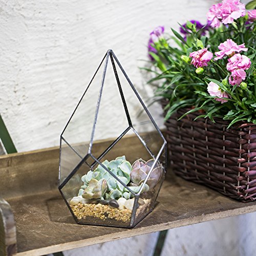 NCYP Modern Artistic Clear Glass Geometric Terrarium Four-surfaces...