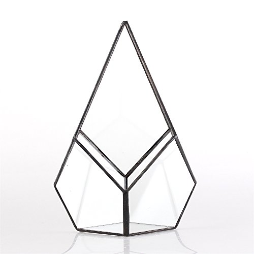 NCYP Modern Artistic Clear Glass Geometric Terrarium Four-surfaces...