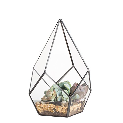 NCYP Modern Artistic Clear Glass Geometric Terrarium Four-surfaces...