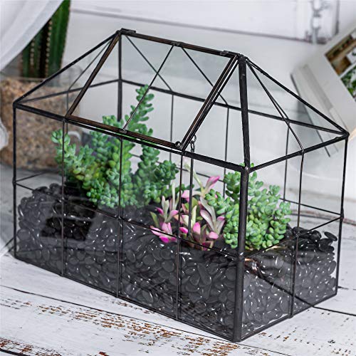 NCYP Reinforced Glass Terrarium Geometric, Black Grid House Shape ...