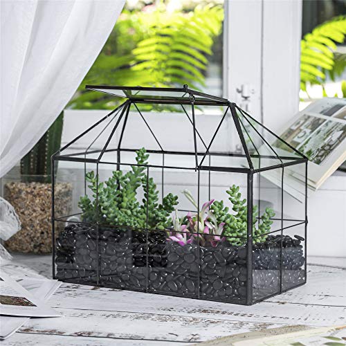NCYP Reinforced Glass Terrarium Geometric, Black Grid House Shape ...