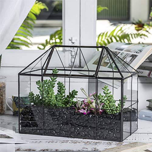 NCYP Reinforced Glass Terrarium Geometric, Black Grid House Shape ...