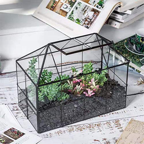 NCYP Reinforced Glass Terrarium Geometric, Black Grid House Shape ...