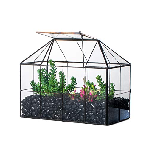 NCYP Reinforced Glass Terrarium Geometric, Black Grid House Shape ...
