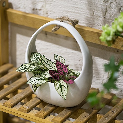 NCYP Round White Hanging Ceramic Planter Modern Vintage Indoor Out...