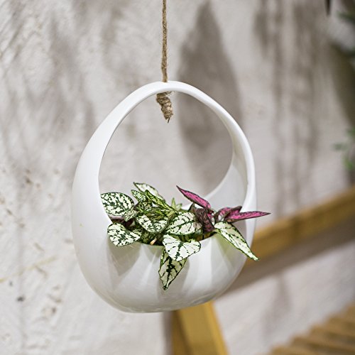 NCYP Round White Hanging Ceramic Planter Modern Vintage Indoor Out...