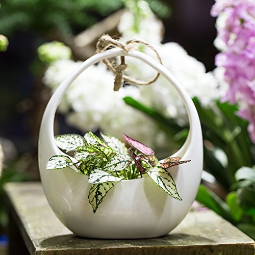 NCYP Round White Hanging Ceramic Planter Modern Vintage Indoor Out...