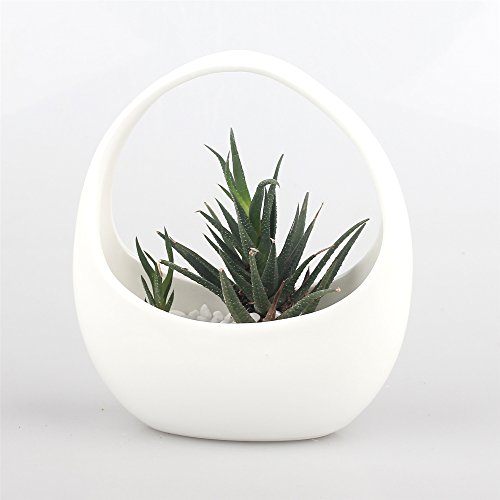 NCYP Round White Hanging Ceramic Planter Modern Vintage Indoor Out...