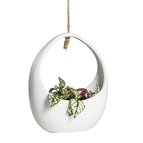 NCYP Round White Hanging Ceramic Planter Modern Vintage Indoor Out...
