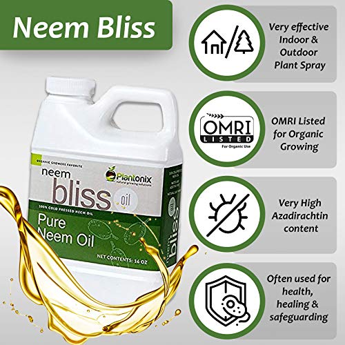 Organic Neem Bliss 100% Pure Cold Pressed Neem Seed Oil - 16 oz ...