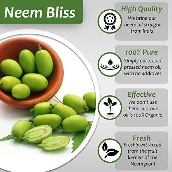 Organic Neem Bliss 100% Pure Cold Pressed Neem Seed Oil 32 oz - OM...