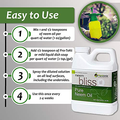 Organic Neem Bliss 100% Pure Cold Pressed Neem Seed Oil - 16 oz ...