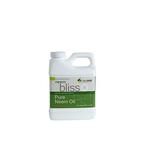 Organic Neem Bliss 100% Pure Cold Pressed Neem Seed Oil - 16 oz ...