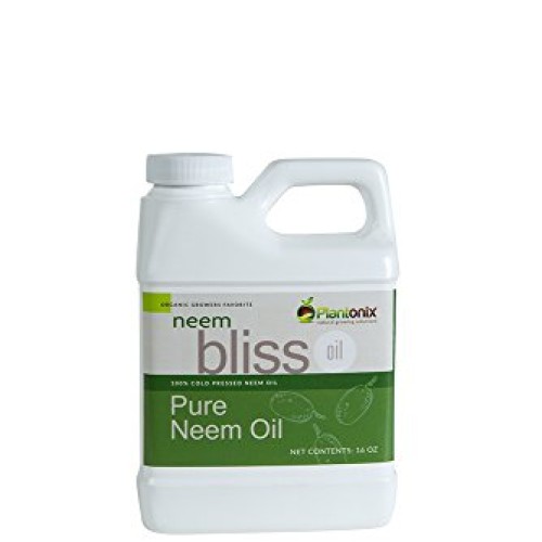 Organic Neem Bliss 100% Pure Cold Pressed Neem Seed Oil - 16 oz ...