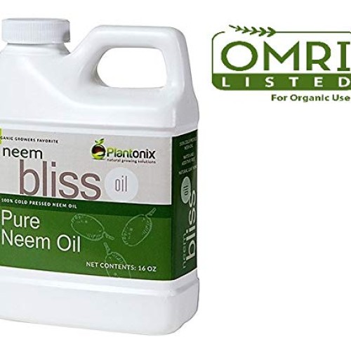 Organic Neem Bliss 100% Pure Cold Pressed Neem Seed Oil - 16 oz ...