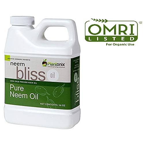 Organic Neem Bliss 100% Pure Cold Pressed Neem Seed Oil - 16 oz ...