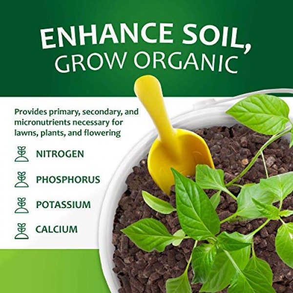 Neem Organics Orgo Neem Cake | 100% Organic Fertilizer for Outdoor...