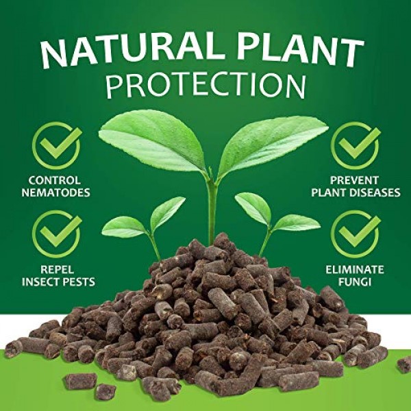 Neem Organics Orgo Neem Cake | 100% Organic Fertilizer for Outdoor...