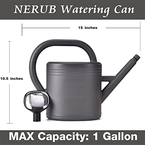 Watering Can 1 Gallon for Indoor Plants, Garden Watering Cans Outd...