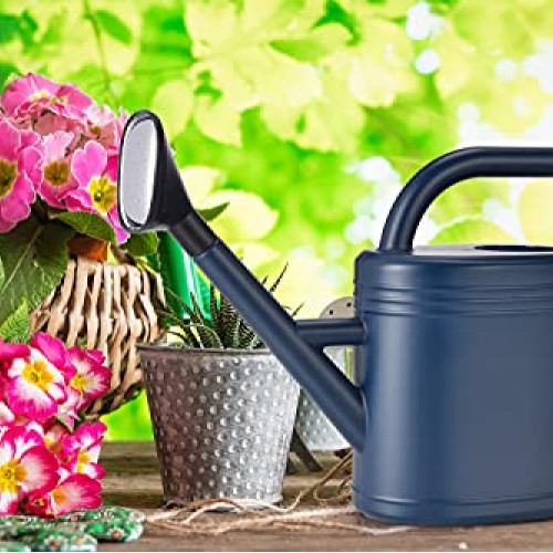 Watering Can 1 Gallon for Indoor Plants, Garden Watering Cans Outd...