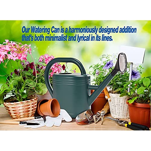 Watering Can 1 Gallon for Indoor Plants, Garden Watering Cans Outd...