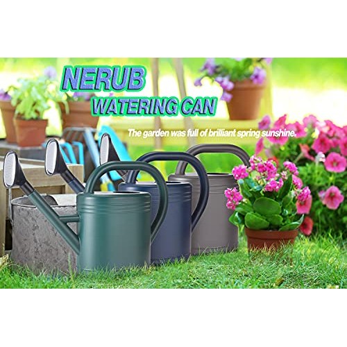 Watering Can 1 Gallon for Indoor Plants, Garden Watering Cans Outd...
