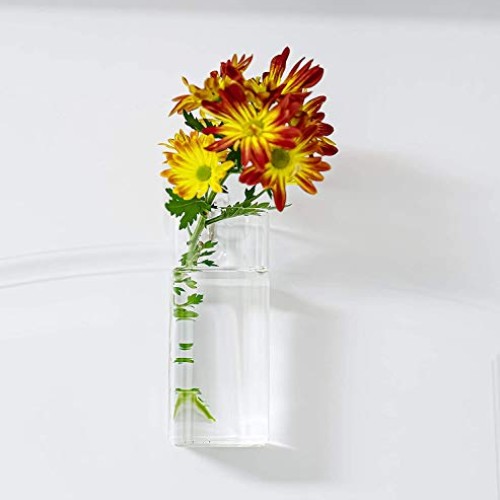 Kenter Home Wall Planters for Indoor & Outdoor Plants - Hanging Gl...