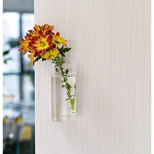 Kenter Home Wall Planters for Indoor & Outdoor Plants - Hanging Gl...