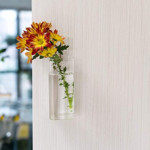 Kenter Home Wall Planters for Indoor & Outdoor Plants - Hanging Gl...