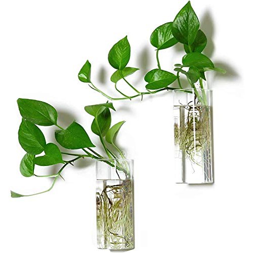 Kenter Home Wall Planters for Indoor & Outdoor Plants - Hanging Gl...