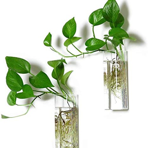 Kenter Home Wall Planters for Indoor & Outdoor Plants - Hanging Gl...